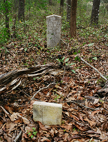 The first couple of graves at the abandoned cemetery at The Greenway.  (2005)