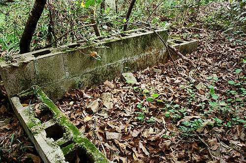 Yet another remaindered wall in the middle of the overgrown grounds at The Asylum.  (2005)