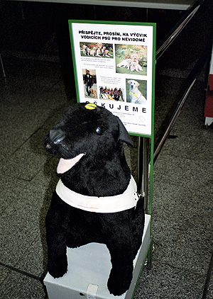 Can't speak/read Czech, but I think this display at a grocery store in Prague is soliciting donations for dogs.  Stray dogs?  Service dogs?  (2003)