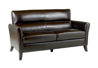 My new sofa:  World Market's Bruno Leather Sofa.