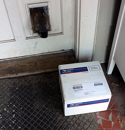 The lotus tuber arrived on my front porch.  Yes, that is Sheriff's nose sticking out through the cat door.  (20060