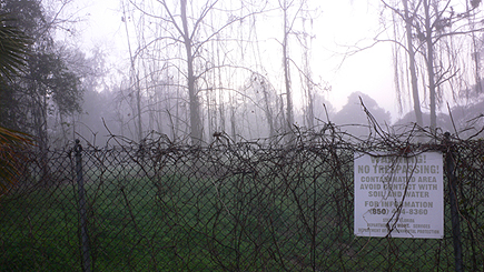 A creepy view of Cascades Park.  (2006)