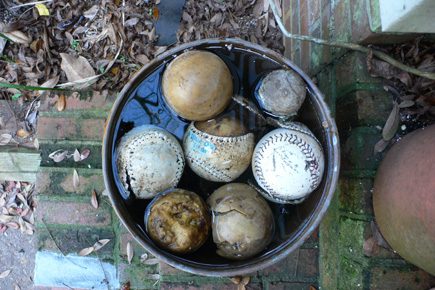 Dead softballs.  Remnants from the reign of Chaunce.  (2006)