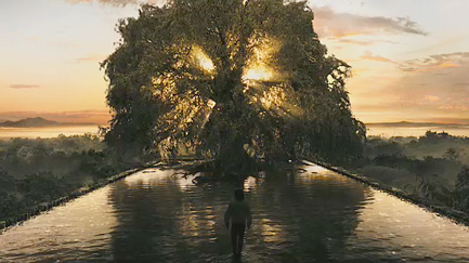 The Tree of Life in The Fountain.  (2006)
