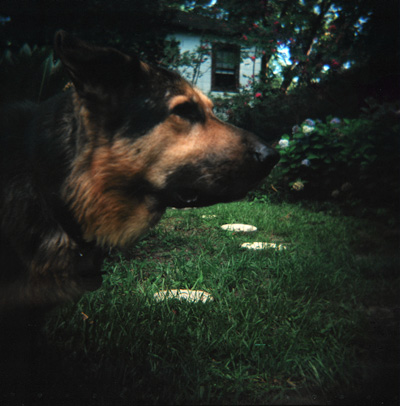 Argus snapped with my new Holga camera.  (Had to use Photoshop to adjust the levels.)  (2007)