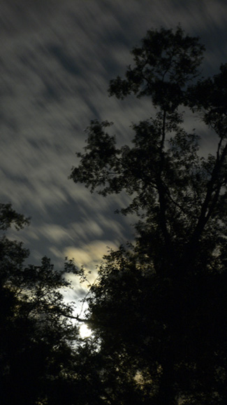 60 second exposure caused the clouds to blur and the moon to saturate the sensor on my digital camera.  (2007)