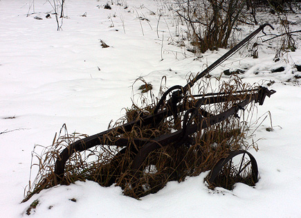 Found in the snow near the barn.  Anyone know what you call this thing?  (2007)