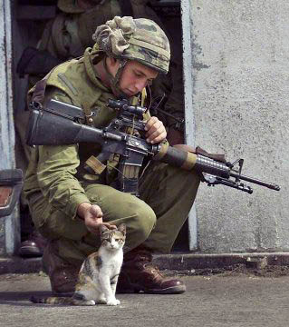 Overseas deployed soldier with cat.  Found on http://parentsofdeployed.homestead.com/.  Photographer unknown.  Year unknown.  Soldier unknown.  Cat unknown.