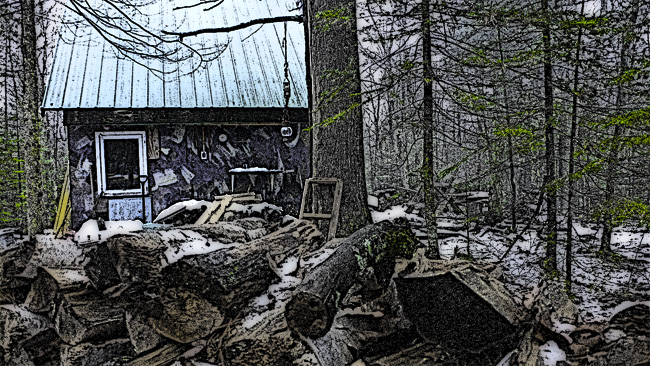 My father's hunting camp, rendered as an engraving with a splash of color.