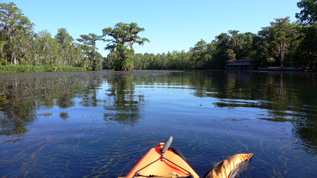 My view from the front of the kayak in the Wakulla River Sunday morning. (2010)